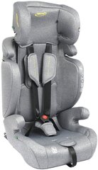 Autoiste Summer Baby Porto i-Size Isofix, 9-36 kg, Sport Grey hind ja info | Turvatoolid ja turvahällid | hansapost.ee