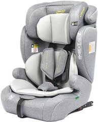 Autoiste Summer Baby Porto i-Size Isofix, 9-36 kg, Sport Grey hind ja info | Turvatoolid ja turvahällid | hansapost.ee