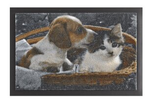 Uksematt Hanse Home Printy Dog and Cat, 40x60 cm hind ja info | Uksematid | hansapost.ee