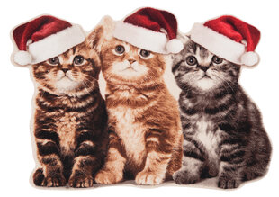 Uksematt Hanse Home Printy Christmas Cats, 45x64 cm hind ja info | Uksematid | hansapost.ee