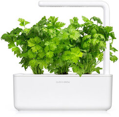 Click & Grow Smart Garden refill Lehtseller 3tk hind ja info | Marja- ja köögiviljaseemned | hansapost.ee