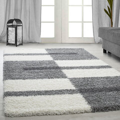 Ayyildiz vaip Shaggy Gala Light Grey 2505, 160x230 cm hind ja info | Vaibad | hansapost.ee