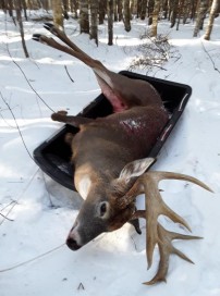 10 pointer