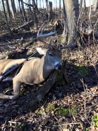 2015 Wisconsin Gun Buck