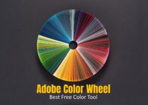 adobe color wheel