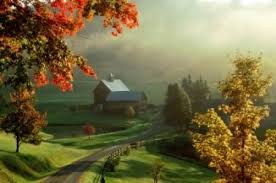Nufsoft Nature Illusion Studio 3.61