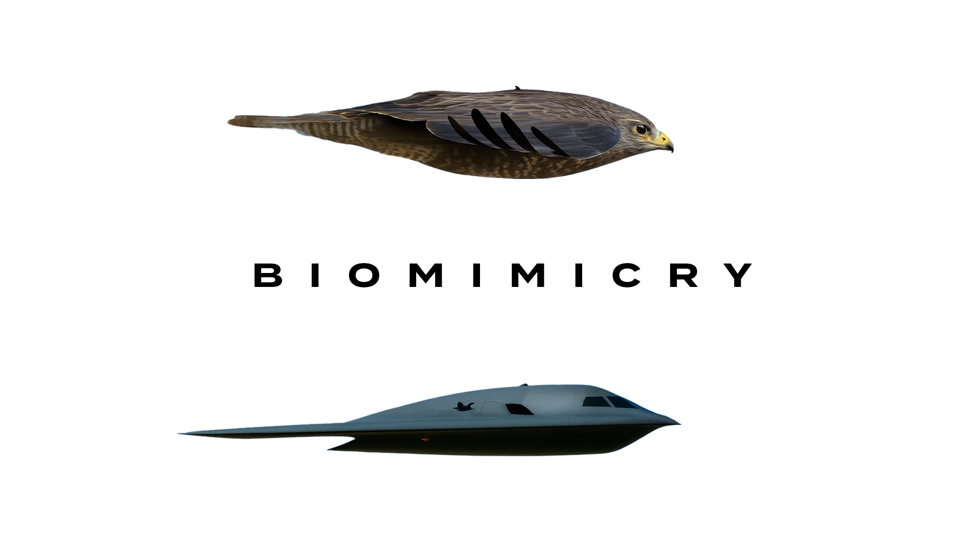 Gene Therapy: Once a Dream, now a Reality