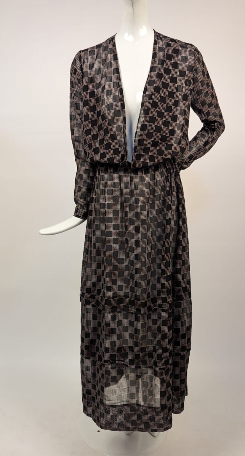 EDWARDIAN SHEER CHECKER WOVEN MUSLIN DRESS - image 1