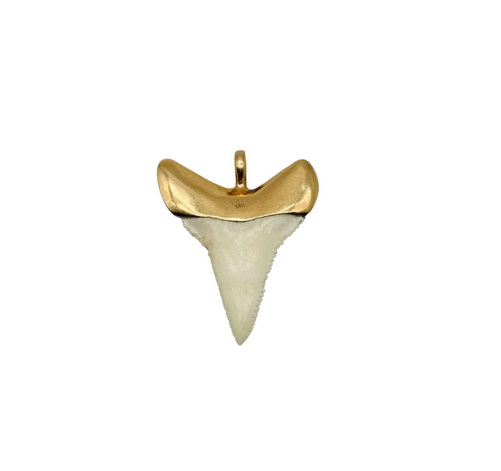 Awesome Large Solid 14k Yellow Gold Shark Tooth P… - image 1