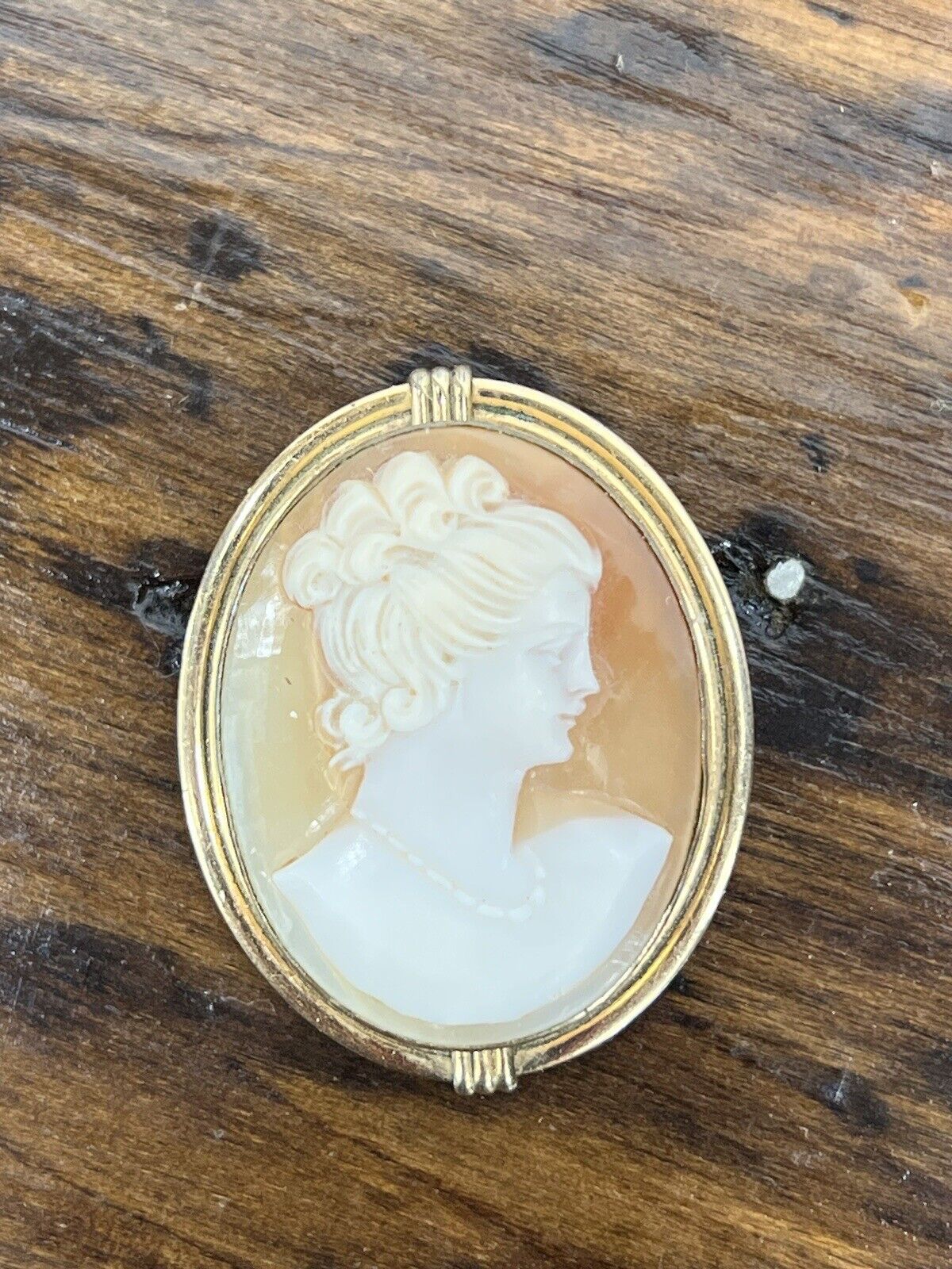 Vintage Van Dell 12K GF Cameo Brooch/Pendant - image 6