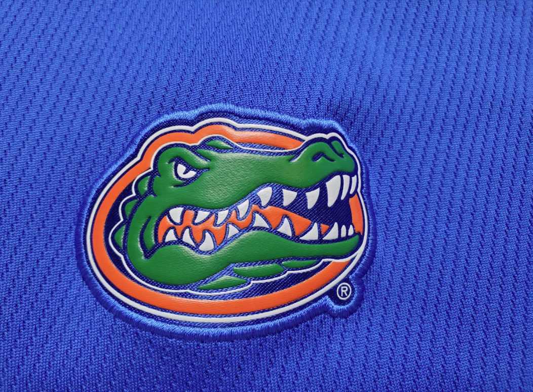 Men's L blue Nike Florida Gators dri-fit golf pol… - image 4