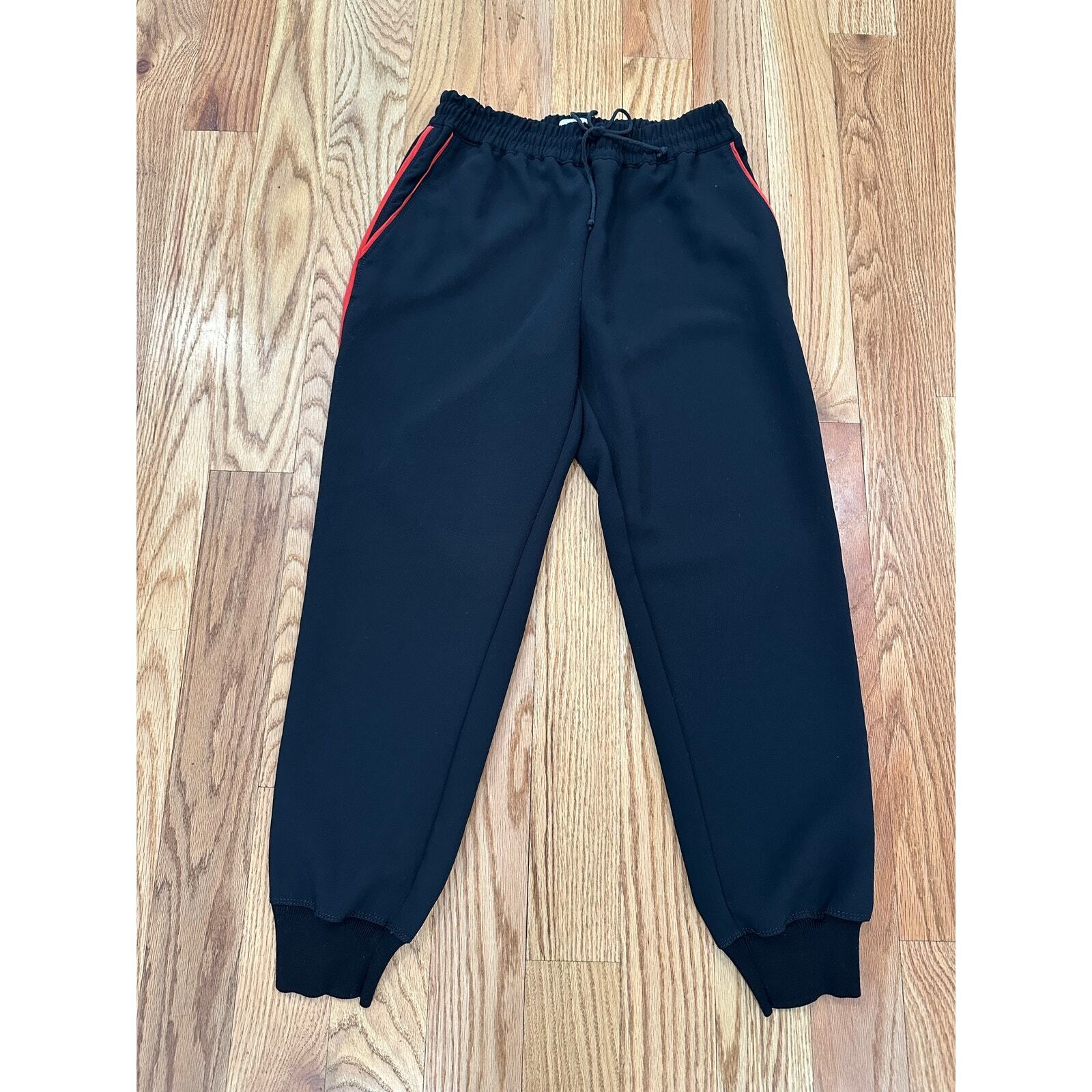 Wilfred Aritzia Brand Joggers - image 1