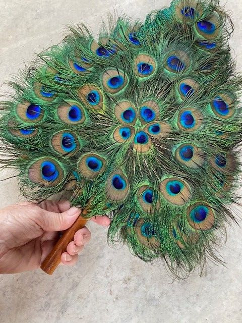 Vintage Peacock Feather Hand Fan - image 3