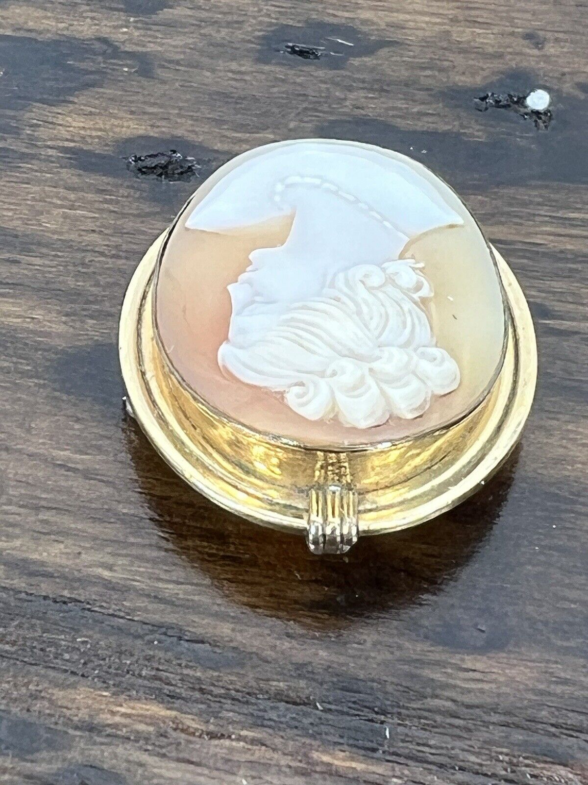 Vintage Van Dell 12K GF Cameo Brooch/Pendant - image 4