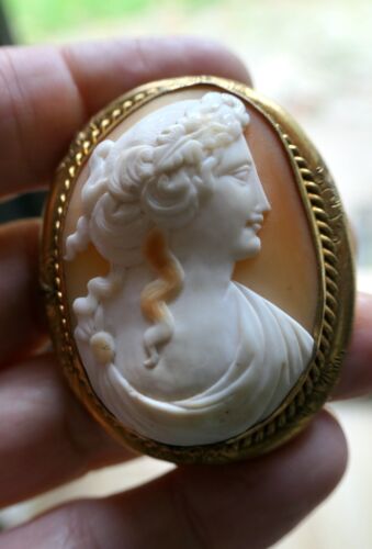 Extraordinary huge antique Victorian carved shell 