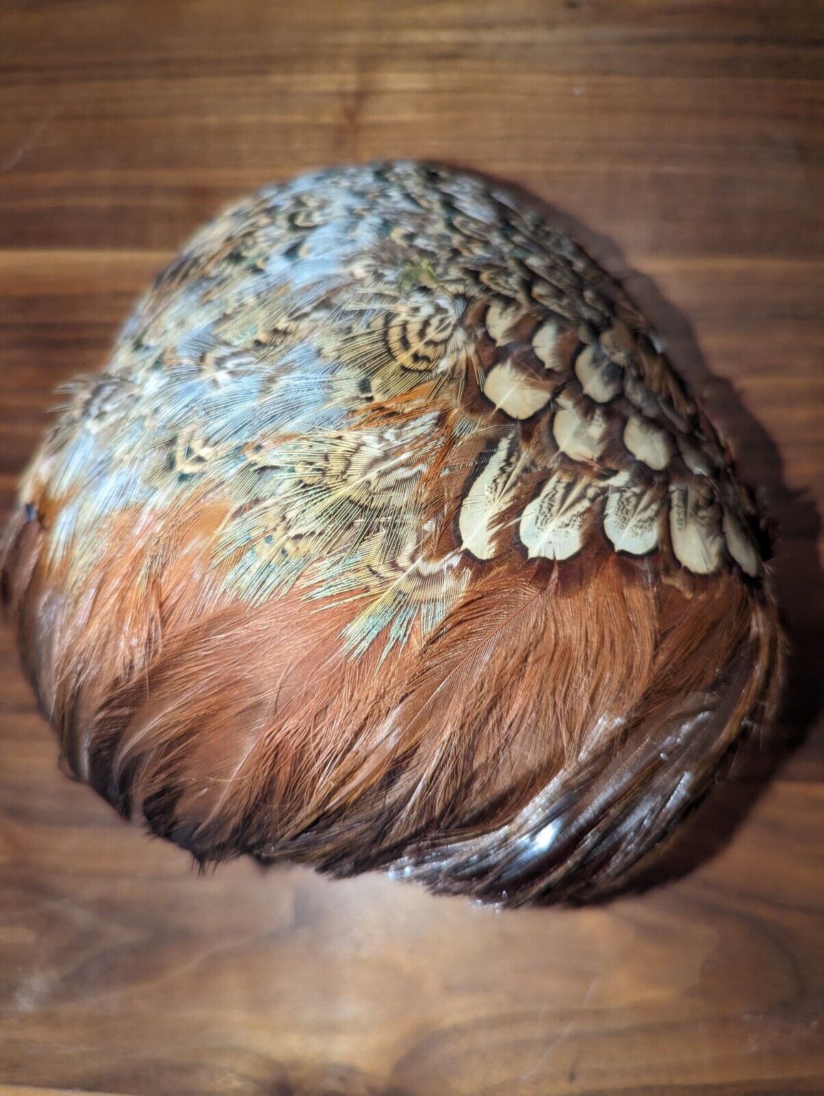 VINTAGE PHEASANT & PEACOCK  FEATHER HAT - image 6