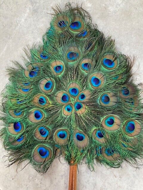 Vintage Peacock Feather Hand Fan - image 1