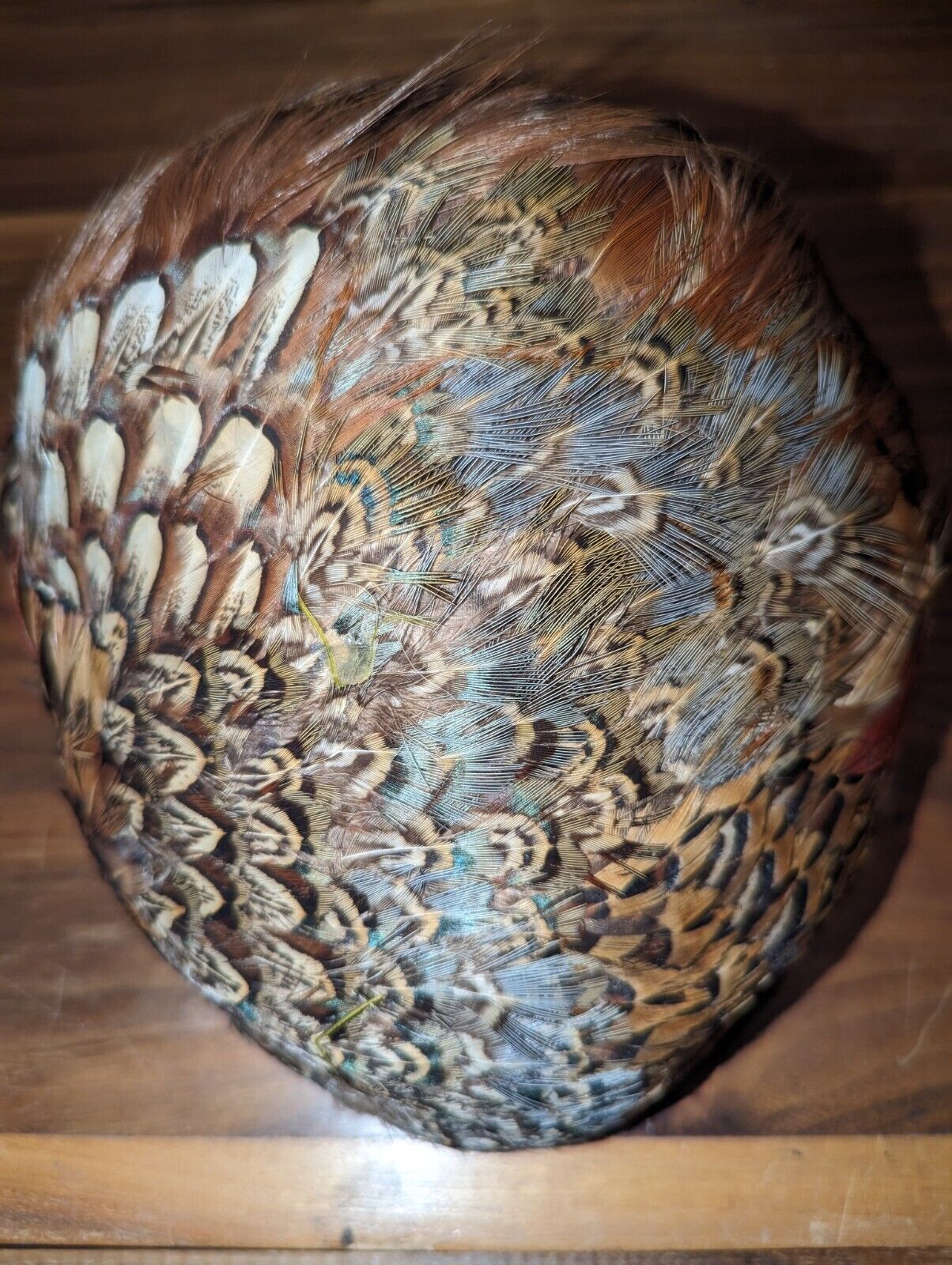 VINTAGE PHEASANT & PEACOCK  FEATHER HAT - image 1