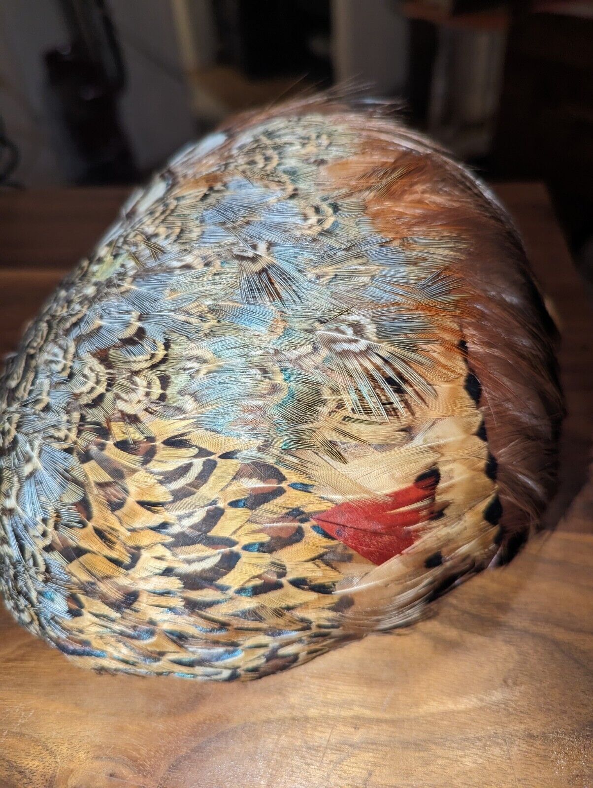 VINTAGE PHEASANT & PEACOCK  FEATHER HAT - image 2