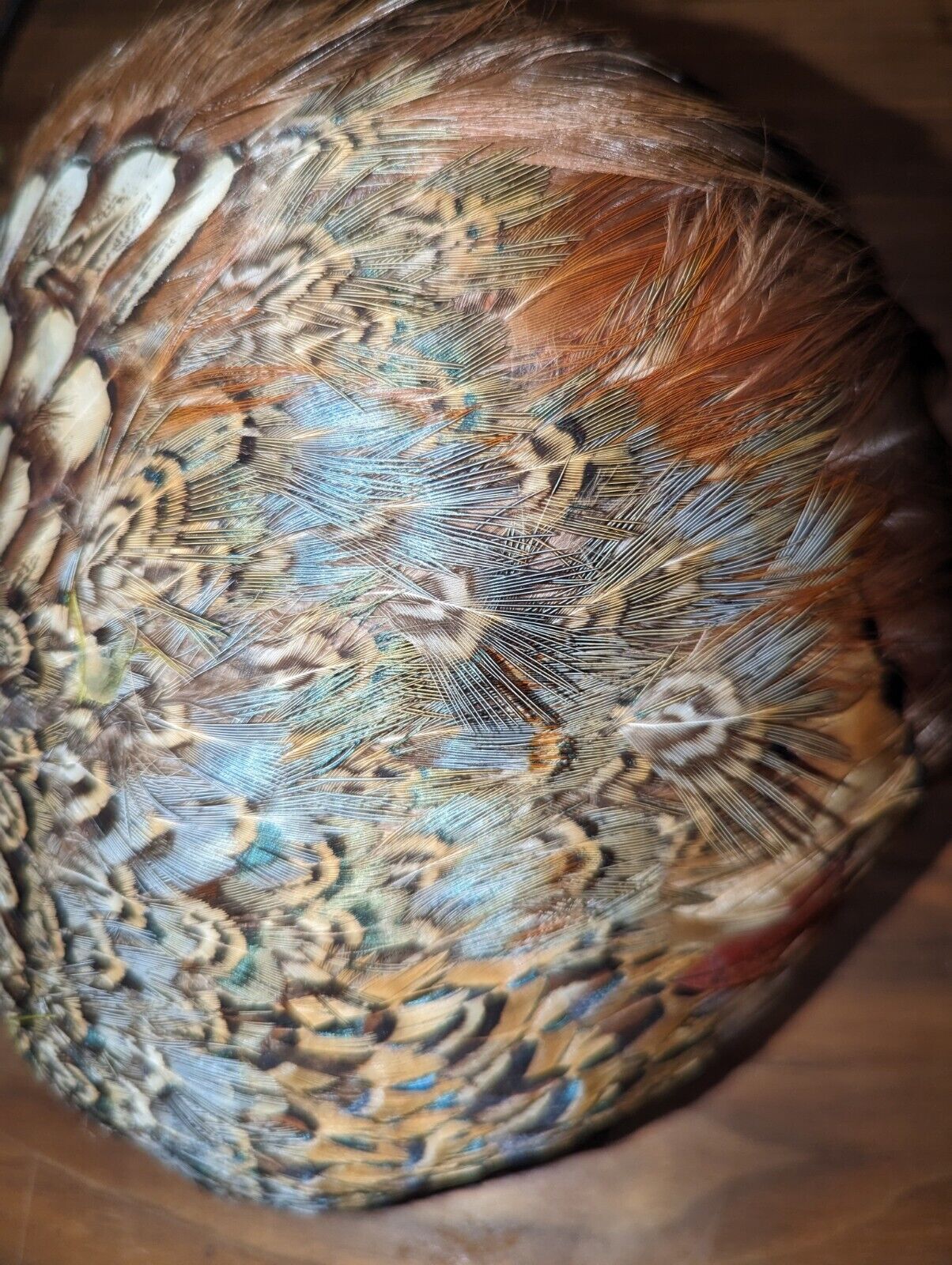 VINTAGE PHEASANT & PEACOCK  FEATHER HAT - image 4