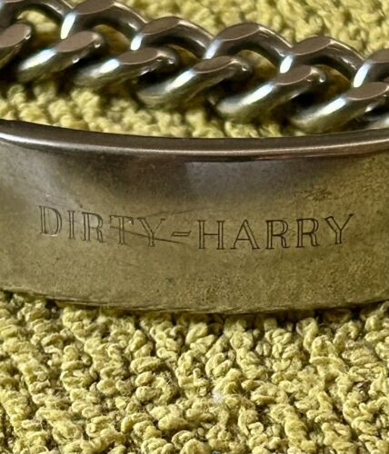 VTG Champion Rhodium Plated/Chain Link“Dirty Harr… - image 1