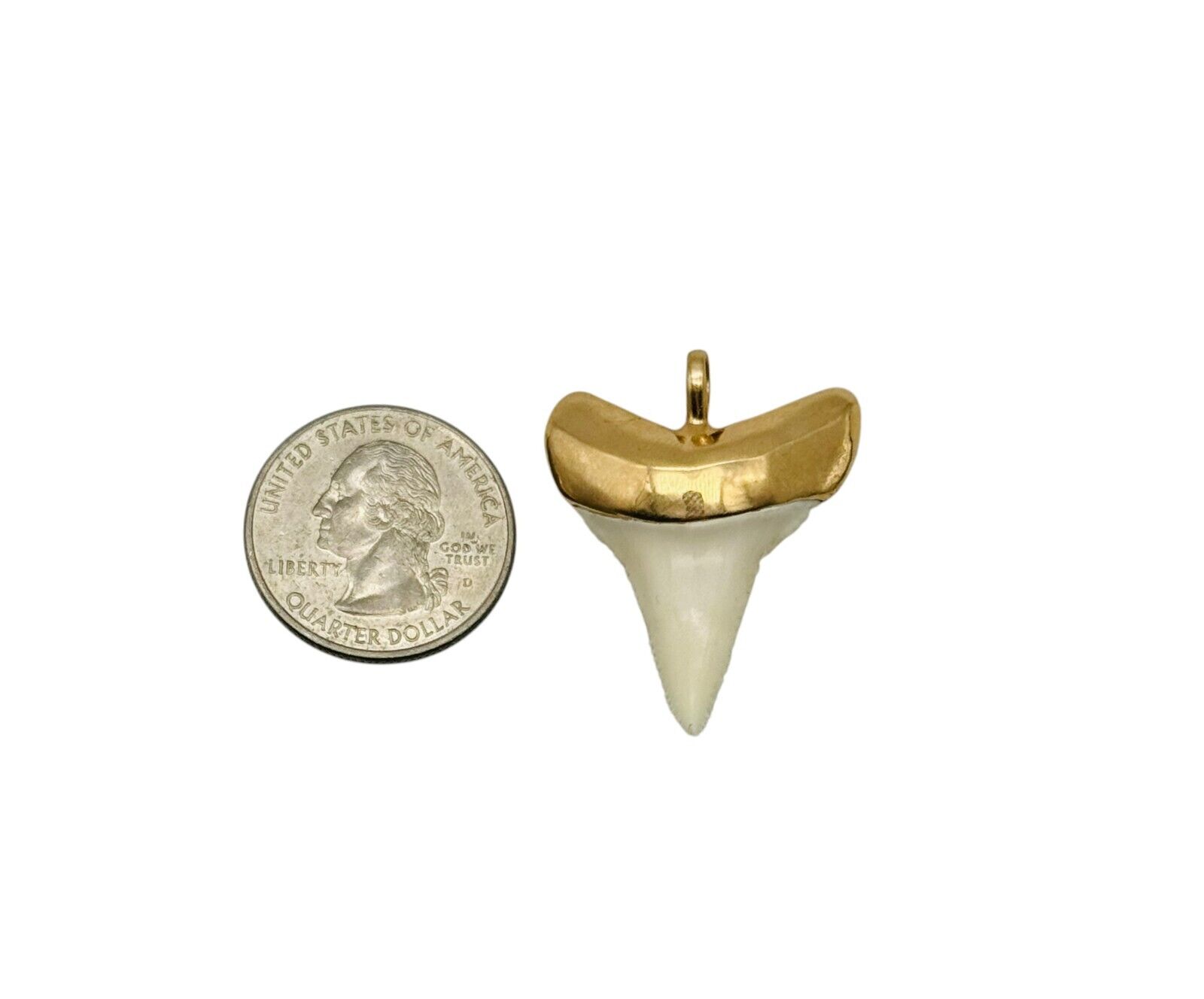 Awesome Large Solid 14k Yellow Gold Shark Tooth P… - image 3