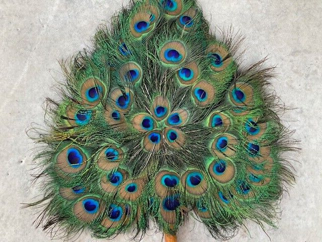 Vintage Peacock Feather Hand Fan - image 4