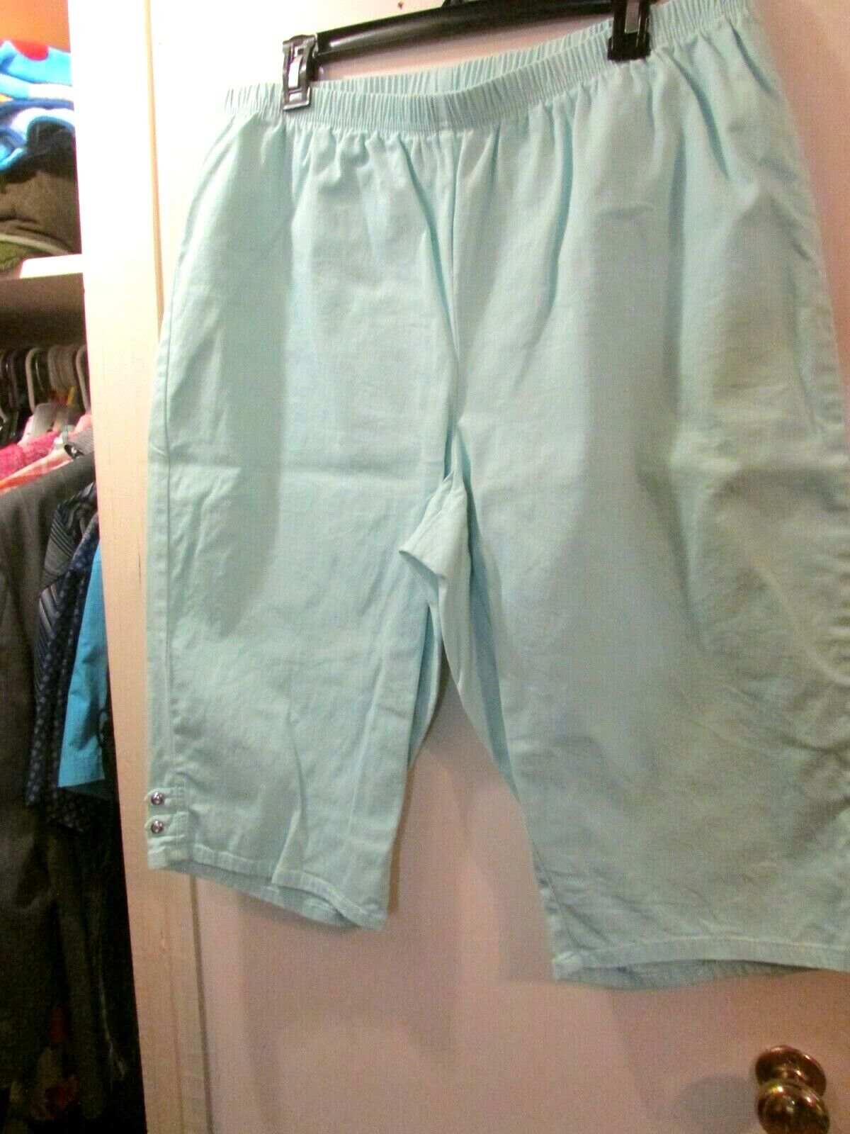 Ladies Aqua Capri Set - Top is 3X - Bottom is 2X … - image 4