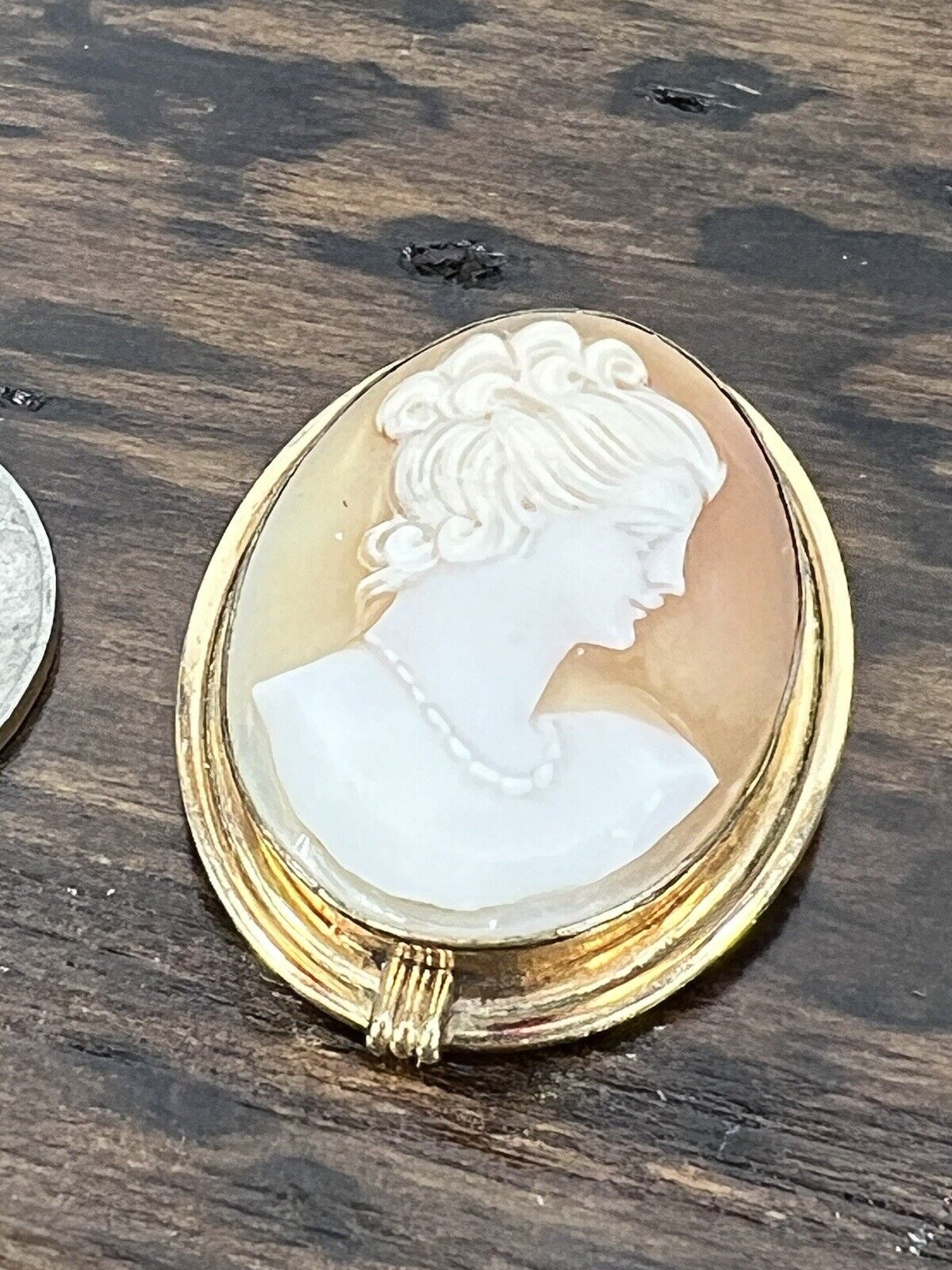 Vintage Van Dell 12K GF Cameo Brooch/Pendant - image 2