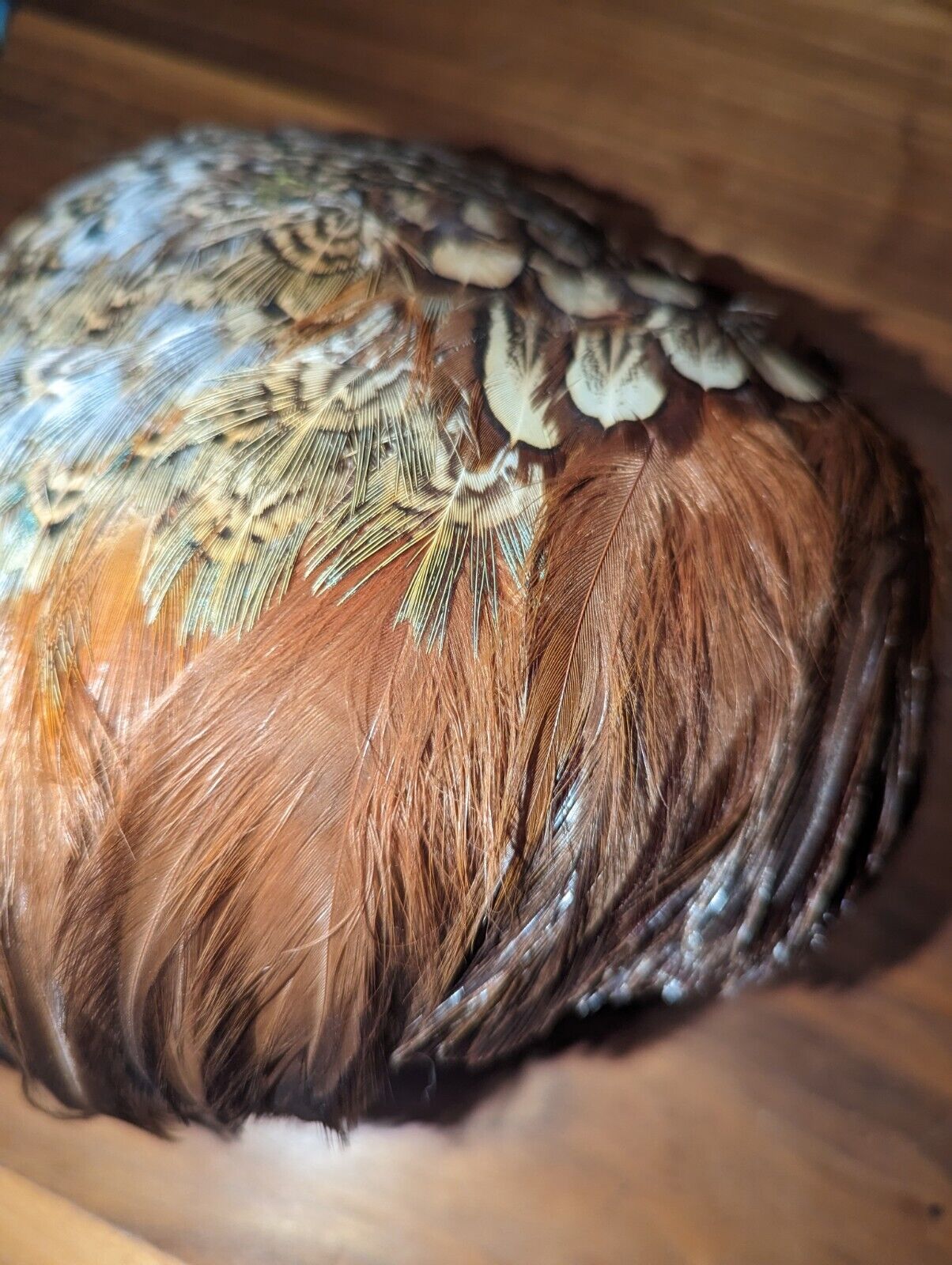 VINTAGE PHEASANT & PEACOCK  FEATHER HAT - image 5