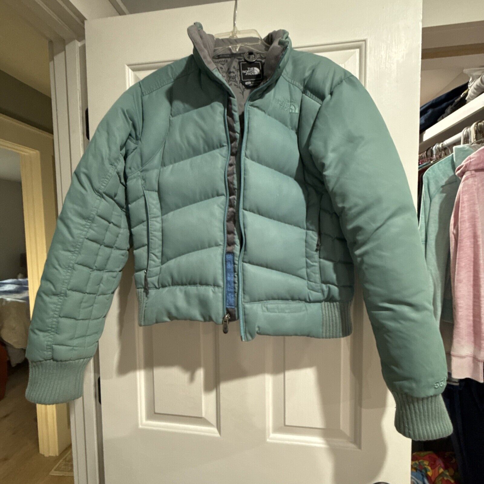 North Face  Goose Down Puffer Jacket - image 1