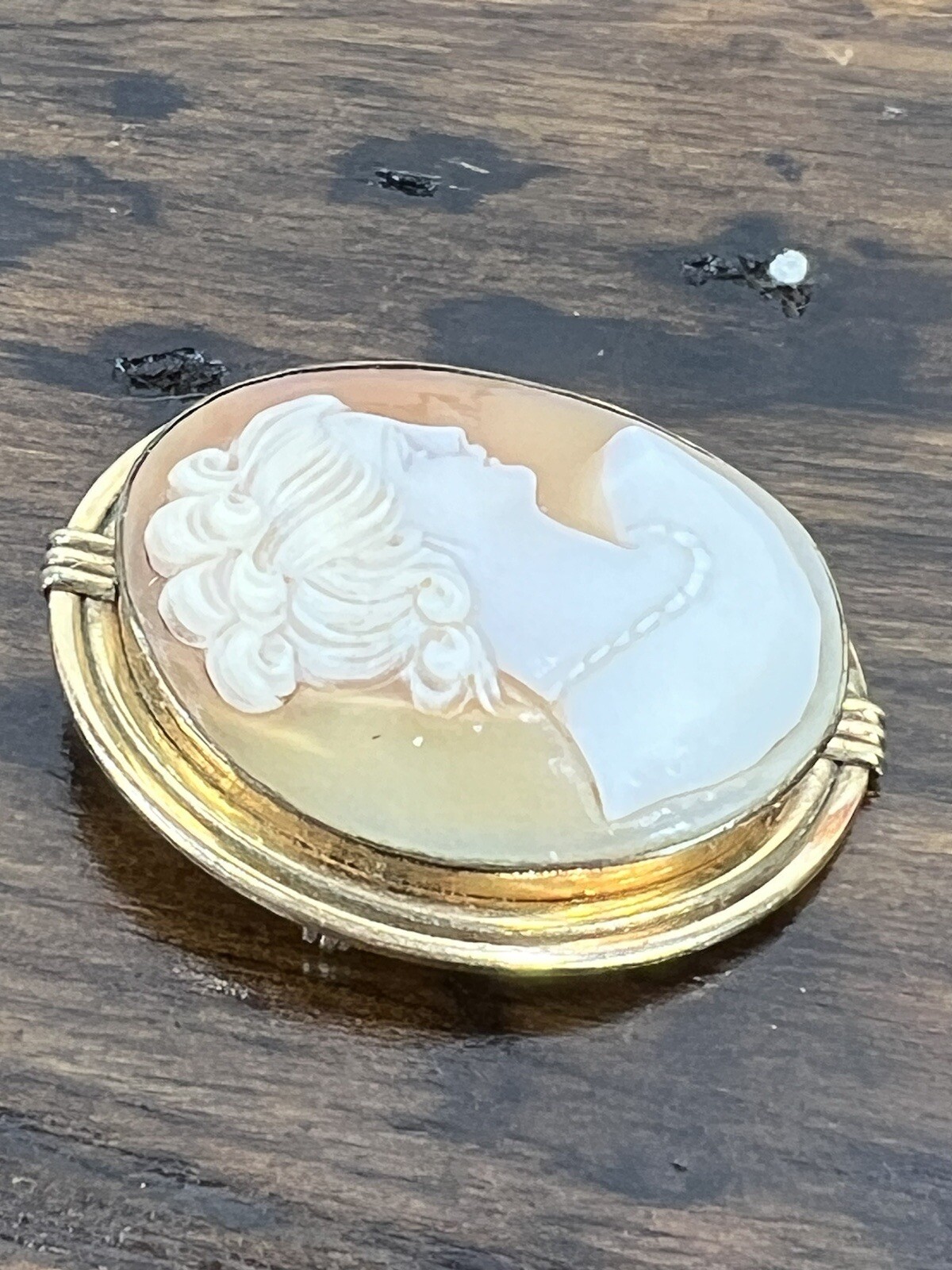 Vintage Van Dell 12K GF Cameo Brooch/Pendant - image 5