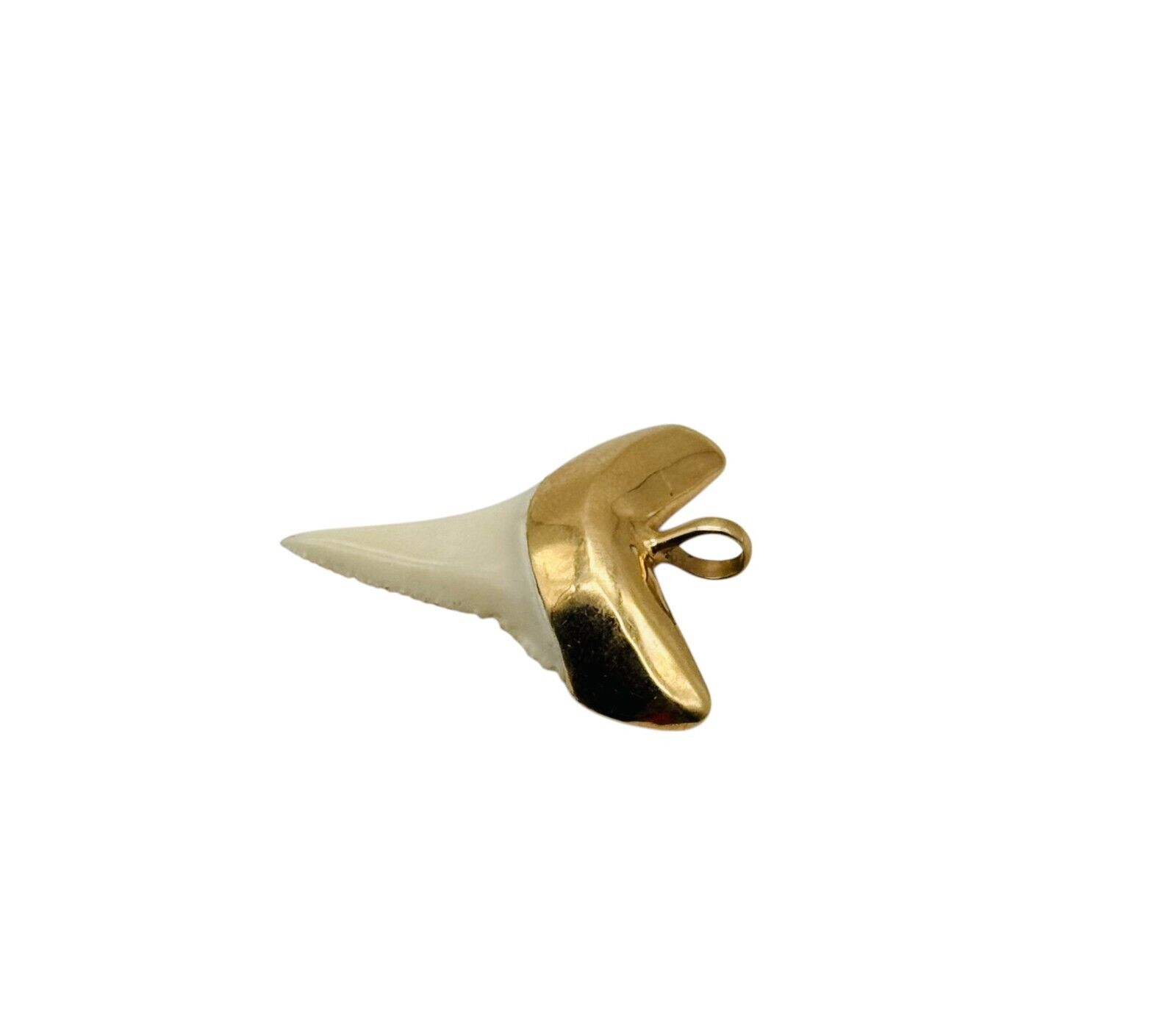 Awesome Large Solid 14k Yellow Gold Shark Tooth P… - image 2