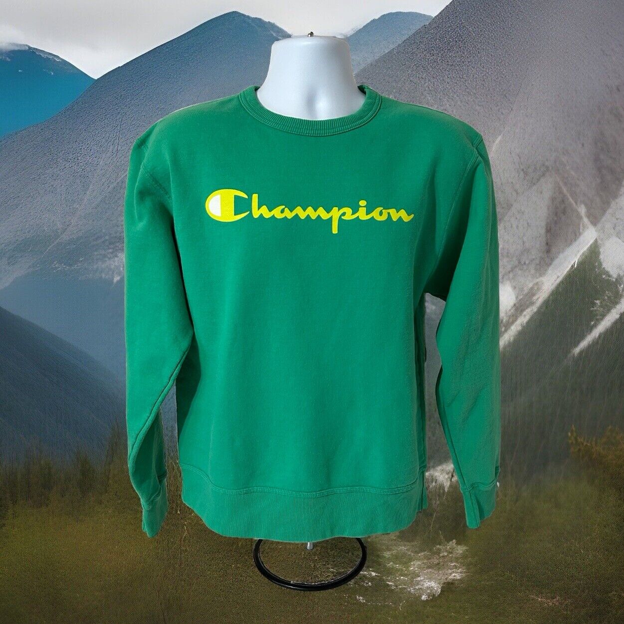 Champion Authentic Athleticwear Pullover Sweatshi… - image 8