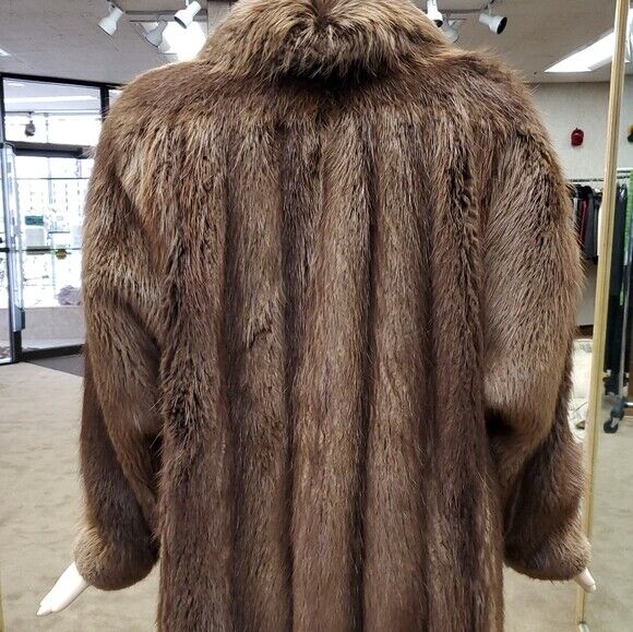 Natural Chestnut Long Hair Beaver Fur Letout 51" … - image 5