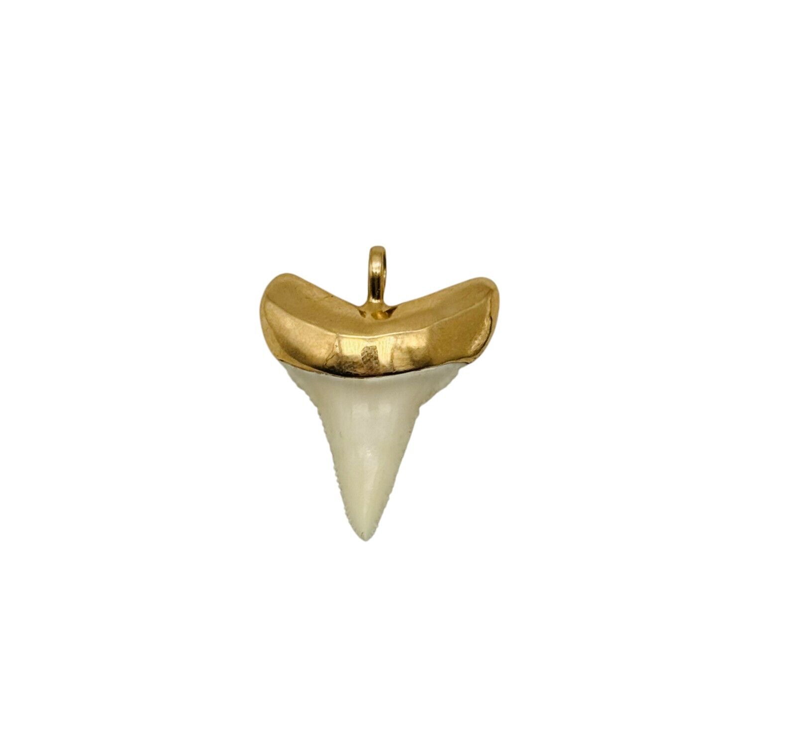 Awesome Large Solid 14k Yellow Gold Shark Tooth P… - image 5