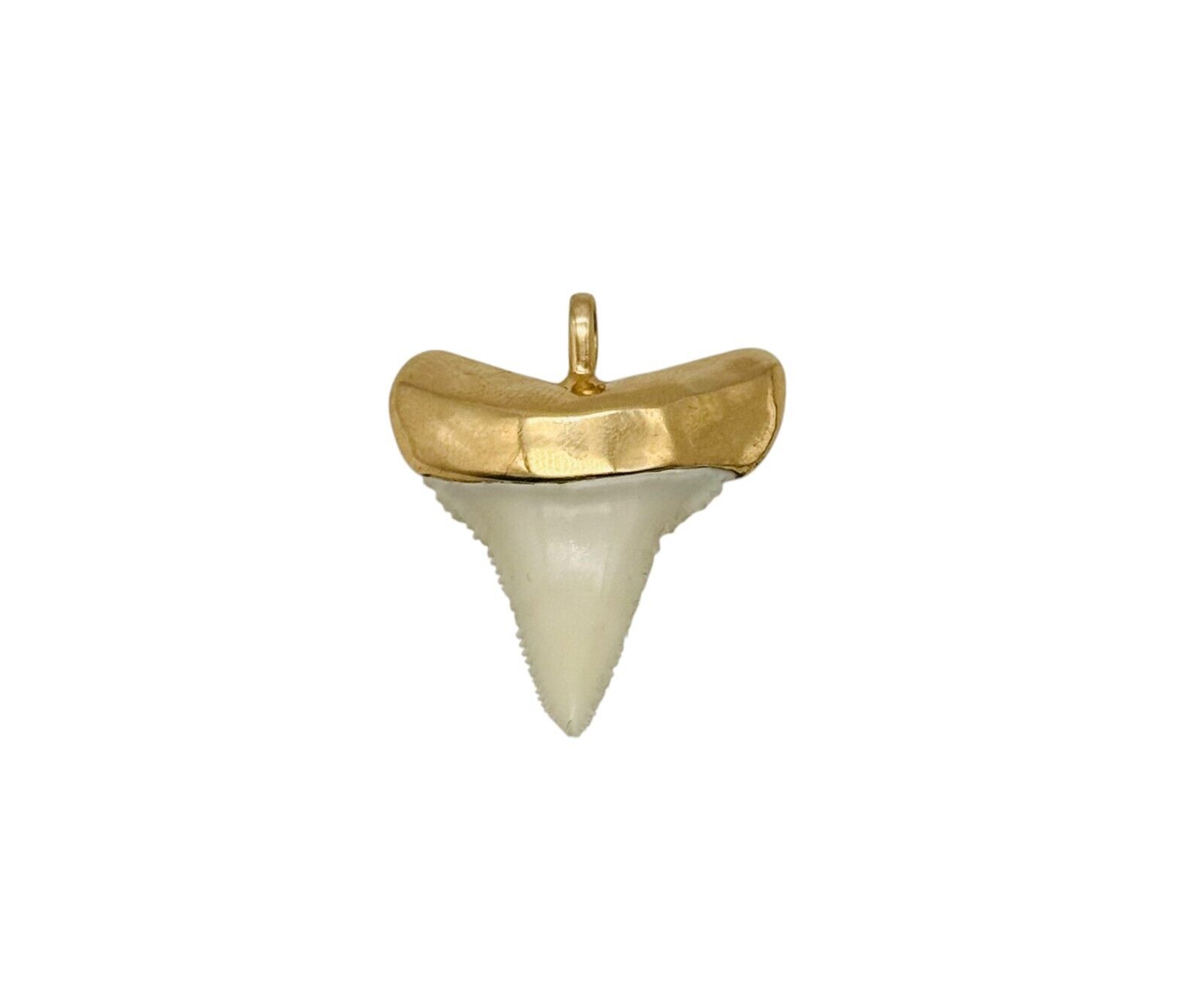 Awesome Large Solid 14k Yellow Gold Shark Tooth P… - image 4