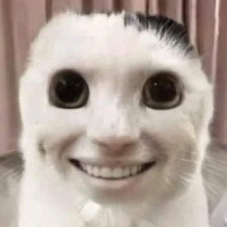 A random cat