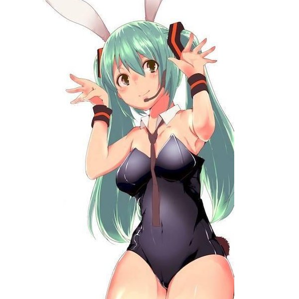 Halloween Women Bunny Costume Bunny Bodysuit Cosplay India  Ubuy