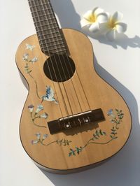 Jockomo's #InlayStickers For Acoustic Guitar & Ukulele Body - Assorted Hummingbird (Hummingbird with Flowers Vines)