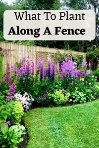 Looking for ideas on what to plant along a fence? This article provides a variety of options for plants and flowers that can add beauty, privacy, and functionality to your fence line. Explore the possibilities and create a stunning garden backdrop.