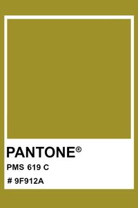 PANTONE 619 C #pantone #color #PMS #hex