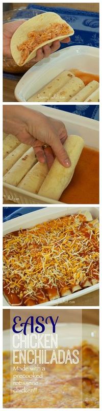 Easy Chicken Enchiladas made with precooked rotisserie chicken. Great for the freezer and gluten free when you use corn tortillas!