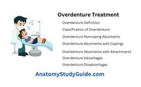 Biomechanical Aspects On Overdenture Treatment - Anatomy Study Guide