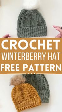 14 Free Crochet Pom Pom Hat Patterns For Christmas Season - The Newlywed