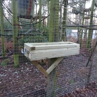 Fence Mounted Dig Box Feeder