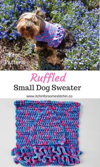 Free Ruffled Small Dog Crochet Sweater Pattern - This small dog sweater with ruffles is perfect for your little girl fur babies who are about 10-lbs. It’s so cute and stylish she’ll be prancing around like a pampered princess in her fancy tutu coat! Plus, it’s super easy to put together and requires only basic stitches. Don’t let the ruffles intimidate you. They are actually really simple to make! #freepattern #dogsweater #petwear #crochet #howto #dogcoat #ruffles #dog #doglovers