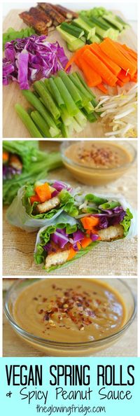 Vegan Spring Rolls with Tempeh and Fresh Veggies, paired with a homemade Spicy Peanut Dipping Sauce - from TheGlowingFridge