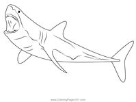 Great White Shark Diving Coloring Page