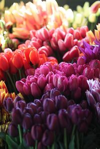 "tulips I love your colors and I love you"